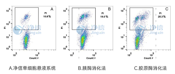 染色檢測細(xì)胞活性.png
